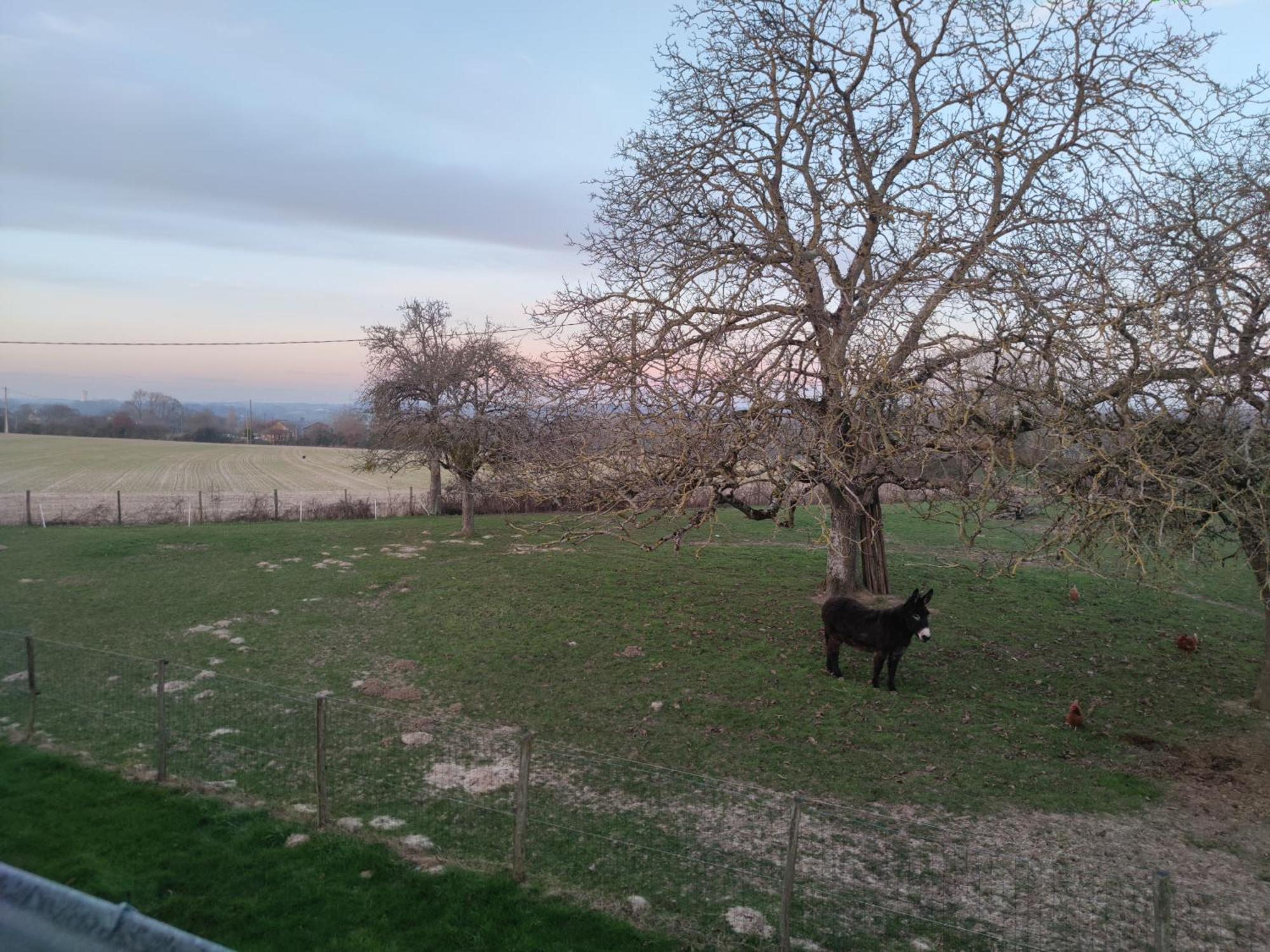 Chambre D Hote Beaumont Pied De Boeuf المظهر الخارجي الصورة